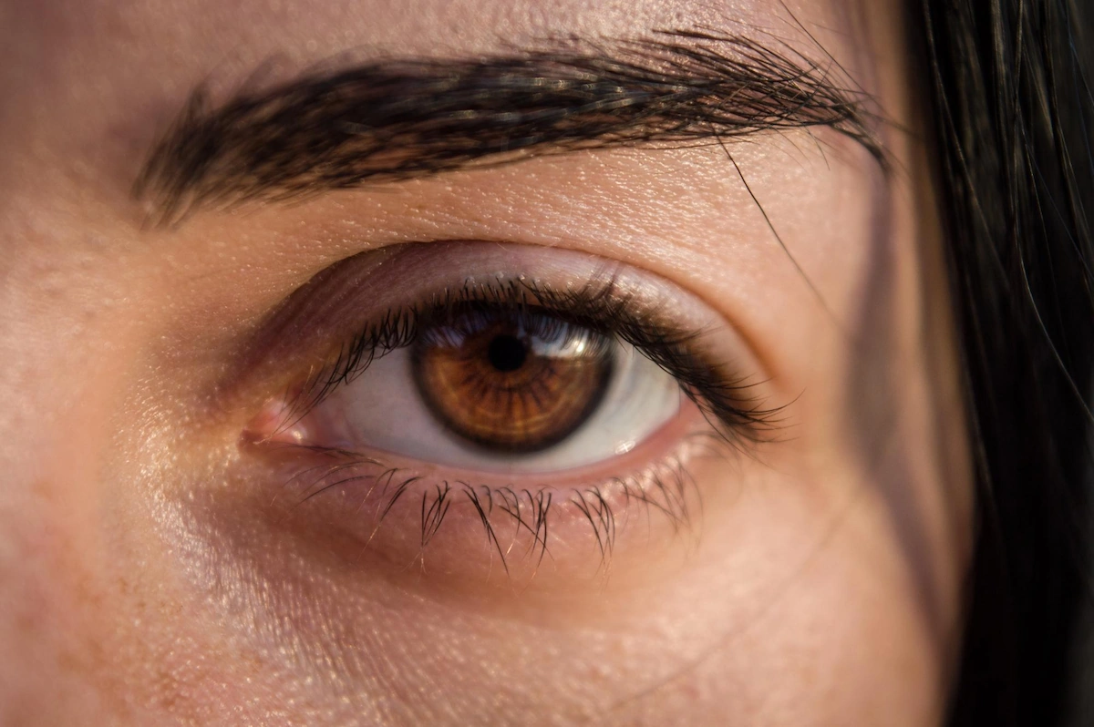 Ketahui Bagaimana Warna Mata Amber Tercipta dan Ciri-Cirinya - JEC Eye ...
