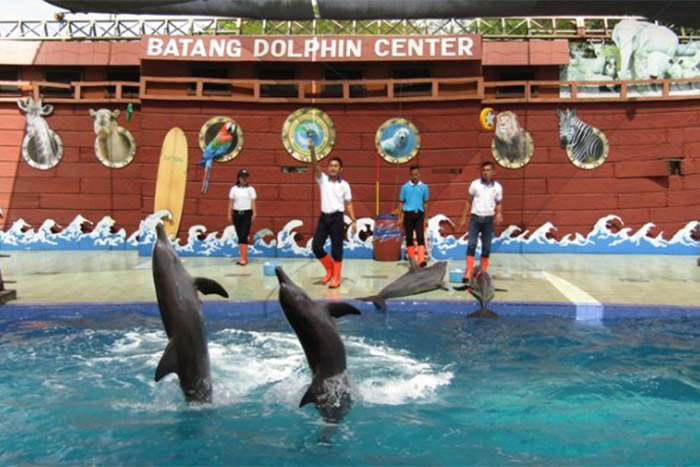 Batang Dolphins Center