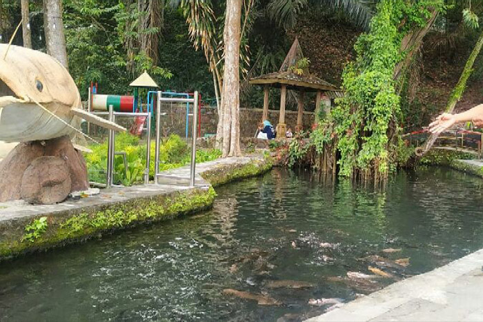 Kampung Wisata Taman Lele Semarang