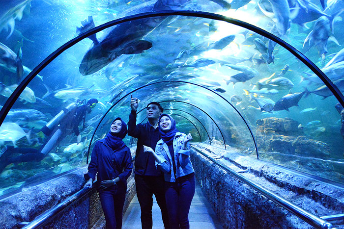 Sea World