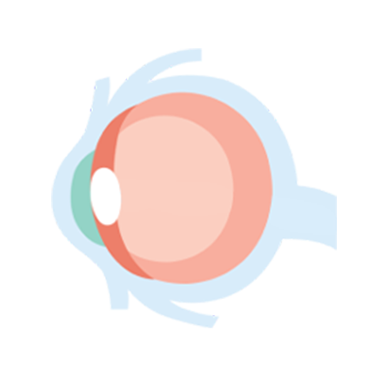 Layanan Retina